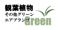 阿倍野 昭和町 イチハナ観葉植物・エアプランツ